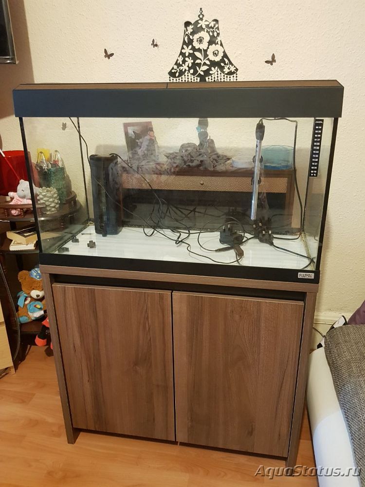 Подводный Романтик. Мой аквариум Fluval Roma 120 литров (Zlatka) - Стр ...