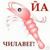 Аватара пользователя
