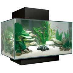 Фото Аквариум Hagen Fluval EDGE (photo#339)