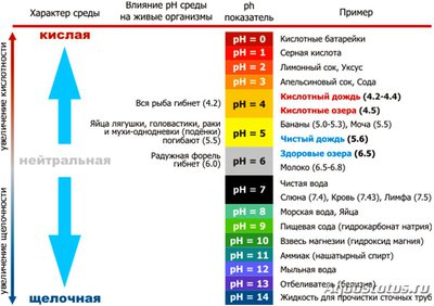 Фото Кислотность воды в аквариуме ph воды  (photo#100737)