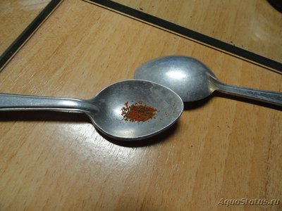 Перевод неонов в другой аквариум.