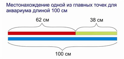 Фото Мой аквариум 35 литров Tetrancistrus  (photo#101445)