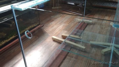 Фото Аквариум 700 литров для астронотусов Sashoka0  (photo#101527)