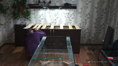 Фото Аквариум 700 литров для астронотусов Sashoka0  (photo#101532)