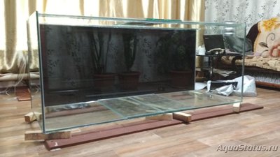 Фото Аквариум 700 литров для астронотусов Sashoka0  (photo#101535)