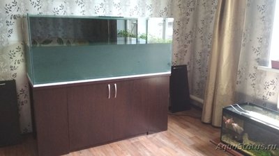 Фото Аквариум 700 литров для астронотусов Sashoka0  (photo#101539)
