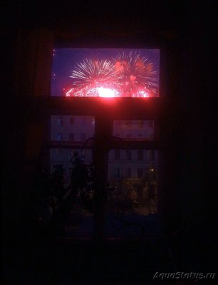 Фото Поздравляем друг друга с разными праздниками (photo#101941)