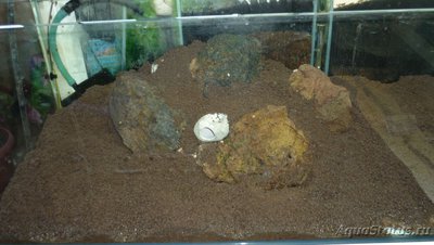 Аквариум "Подводный метр" 200 литров (snakebig)