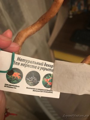 Коряга в аквариуме