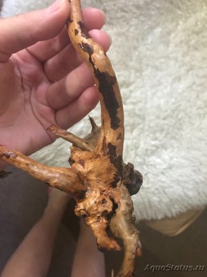 Коряга в аквариуме