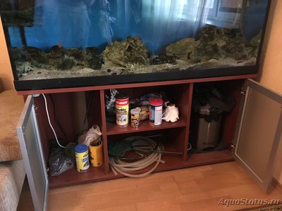 Аквариум 600 л с тумбой продается (Москва)