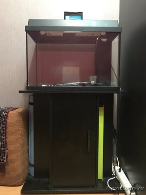 Продам аквариум 60 л., тумбу, грунт (Москва)