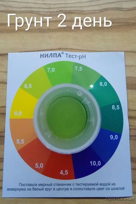 Выбор грунта для аквариума