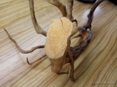 Коряга в аквариуме