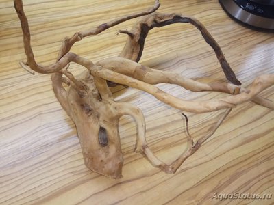 Коряга в аквариуме