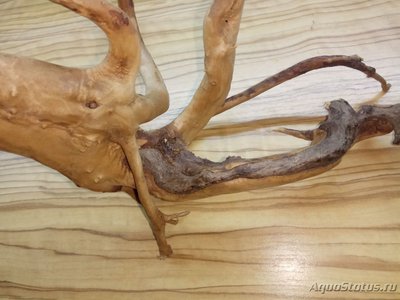 Коряга в аквариуме