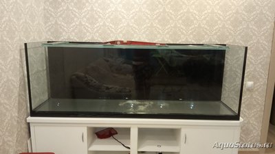 Выбор внешнего фильтра для аквариума. Какой выбрать внешний фильтр?