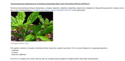 Опознание аквариумных растений