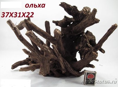 Коряга в аквариуме