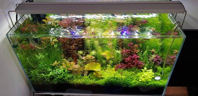 Светодиодное освещение аквариума