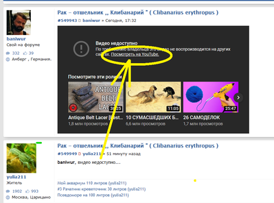 Рак-отшельник "Клибанарий" ( Clibanarius erythropus )