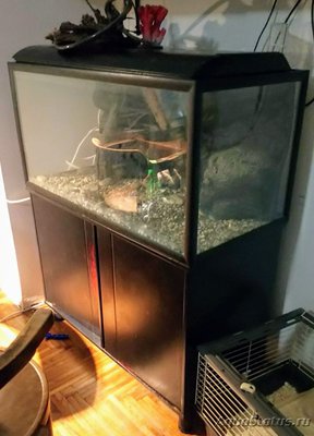 Продам аквариум 250л. (100х50х50) akvastabil