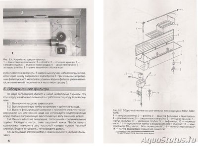 Перенаселение аквариума