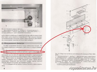 Перенаселение аквариума