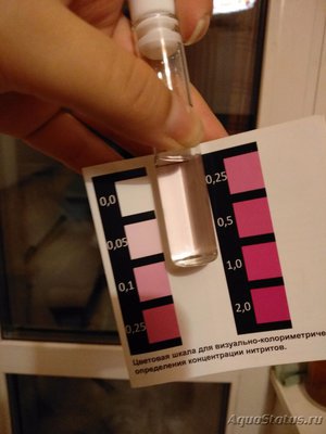 Перенаселение аквариума