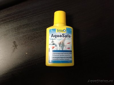 Аквариум для начинающих