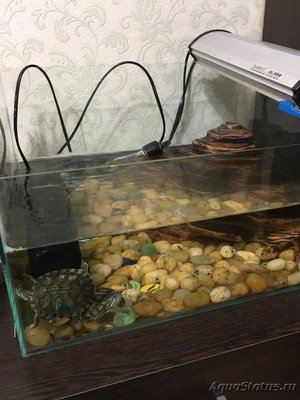 Arduino - сделай сам