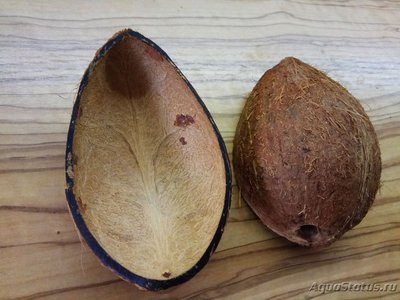 Фото Мои 30 литров печали и беды Anv46  (photo#110810)