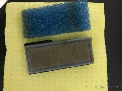 Мой первый серьезный аквариум (Атлант)