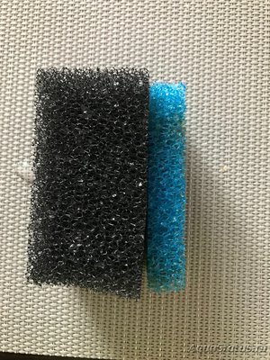 Мой первый серьезный аквариум (Атлант)