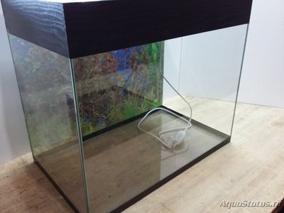 Продам аквариум 50л + фон (Иркутск)