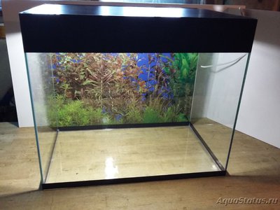 Продам аквариум 50л + фон (Иркутск)
