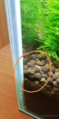 Фото AquaEl Shrimp Set Smart - дом для Рэдфайеров 20 литров Doctor_Zig  (photo#112703)