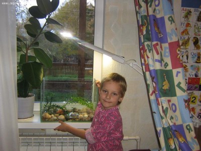 Фото Мой аквариум Рождение нового аквариумиста 20 литров and-majboroda  (photo#11296)