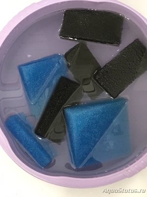 Мой первый серьезный аквариум (Атлант)