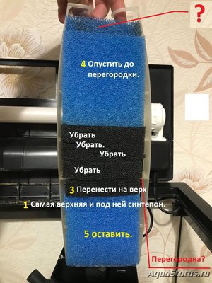 Мой первый серьезный аквариум (Атлант)