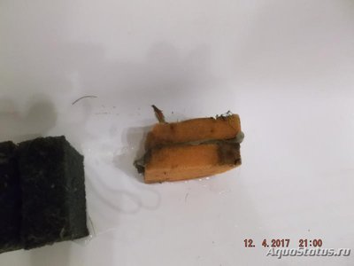 Мой первый серьезный аквариум (Атлант)