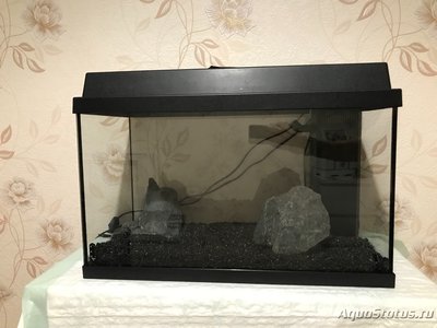 Мой первый серьезный аквариум (Атлант)