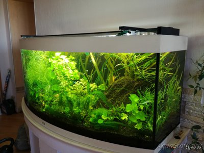 аквариум JUWEL Vision 450 л(Химки)