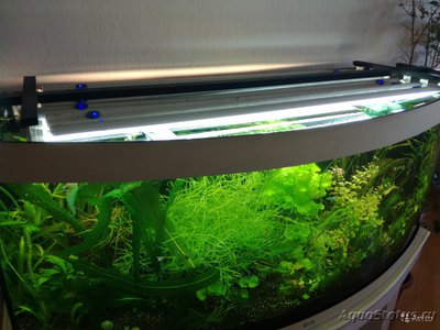 аквариум JUWEL Vision 450 л(Химки)