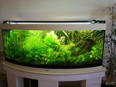 аквариум JUWEL Vision 450 л(Химки)