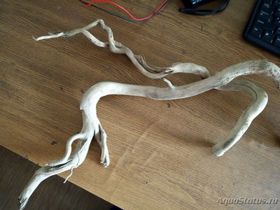 Коряга в аквариуме