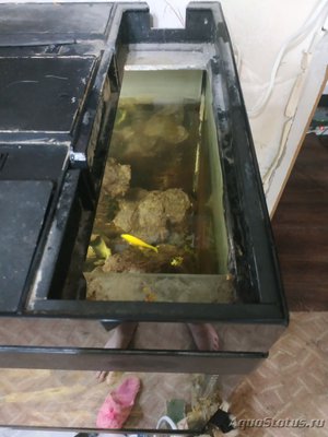 Определить стоимость аквариума