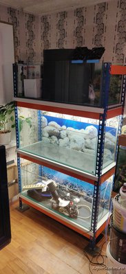 Стойка (стеллаж) для аквариумов