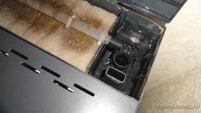 Запуск аквариума