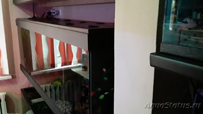 Аквариум "Боцарий 2" 600 литров (bosmat)